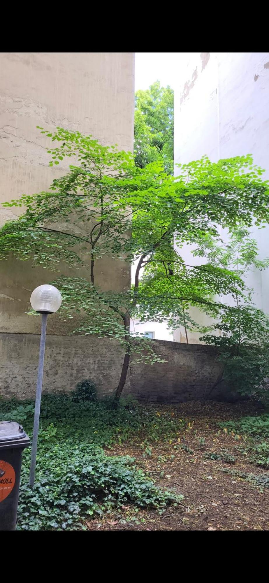 Schoene Altbauwohnung Wien Zentrum Brigittenauer Laende 32 Exterior foto